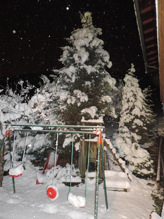 Landhaus Geisler Zell am Ziller Buitenkant foto